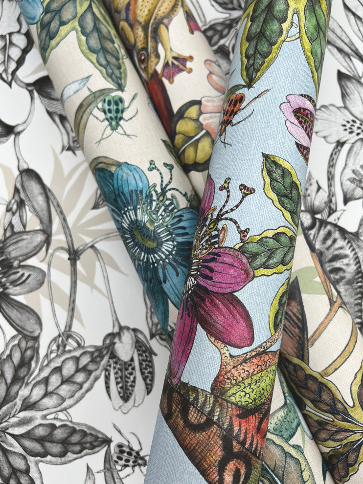 Rainforest Wallpaper