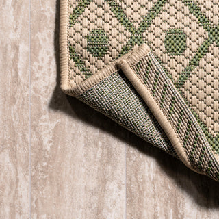 Boho Moroccan Indoor/Outdoor Area Rug, Beige/Green, 2'x10'