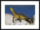 Yellow-Bellied Slider Turtle, Portrait, On Rock, North America, 30"x22"