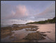 Pelicans Over Playa Langosta, Guanacaste, Costa Rica, 32"x24"