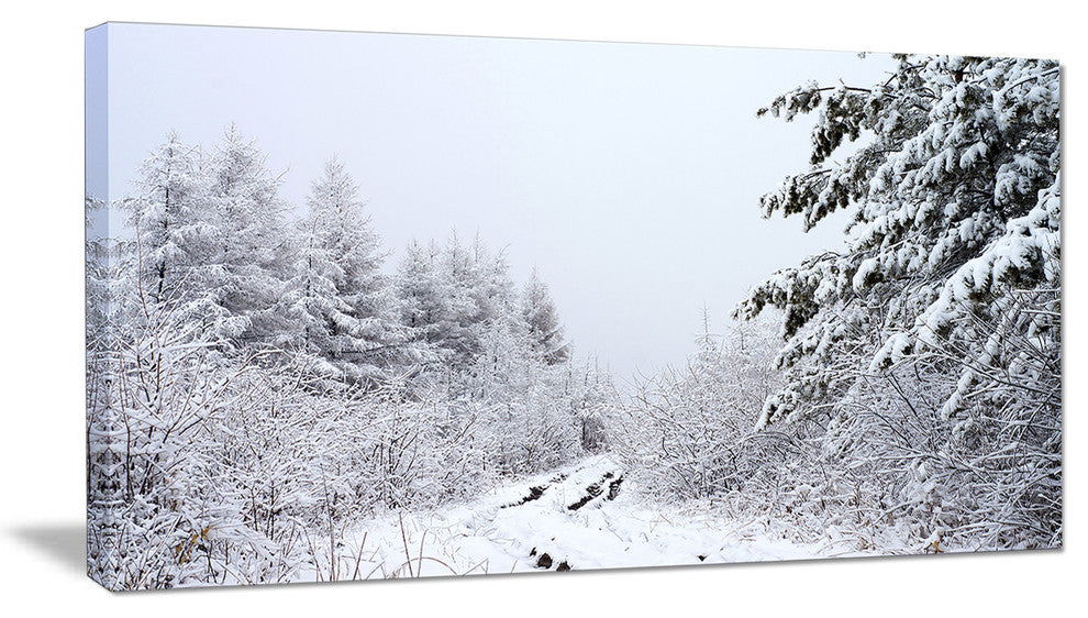 "Frosted Forest Trail in Fall" Photograph Print