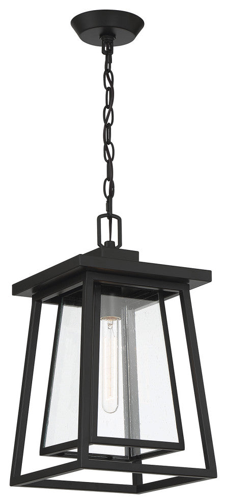 Denver 1-Light Outdoor Hanging Lantern, Matte Black