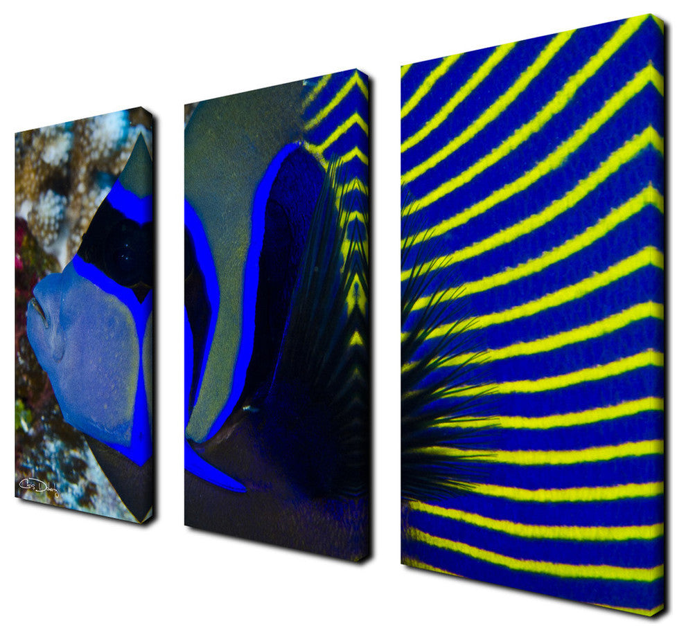Ready2hangart Chris Doherty 'Underwater Bleus' 3-piece Canvas Wall Art