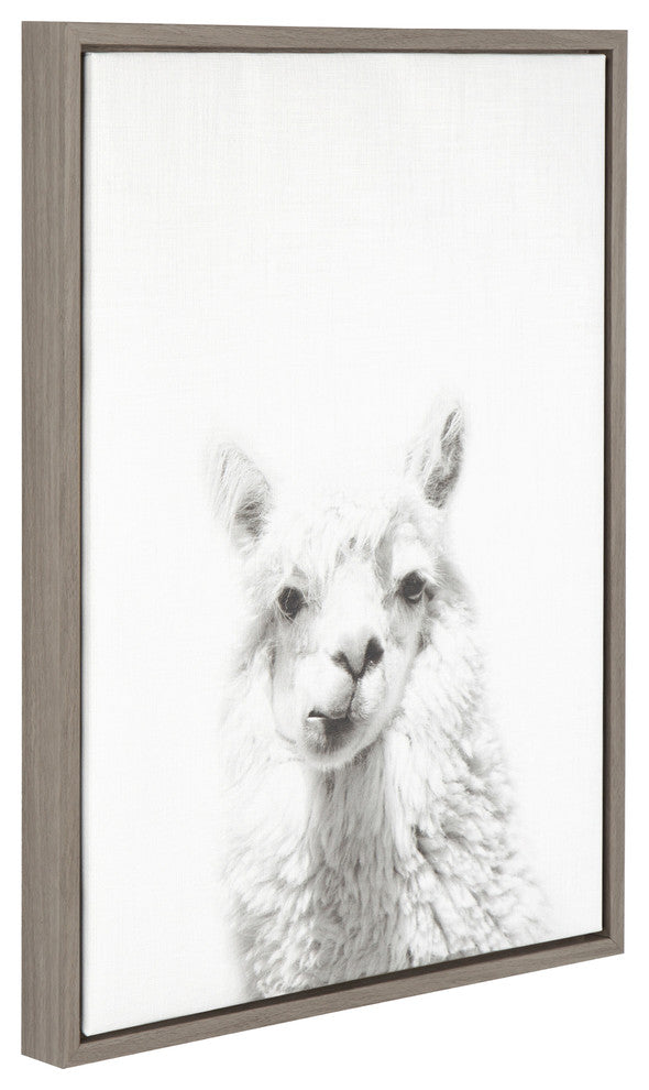 Alpaca Portrait Black and White Framed Canvas Wall Art