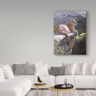 Ron Parker 'Cougar Country' Canvas Art, 19"x14"