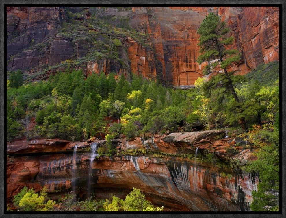 Cascades and Desert Varnish At Emerald Pools, Zion National Park, Utah, 16"x12"
