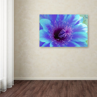 Tina Lavoie 'Paradisum' Canvas Art, 16" x 24"