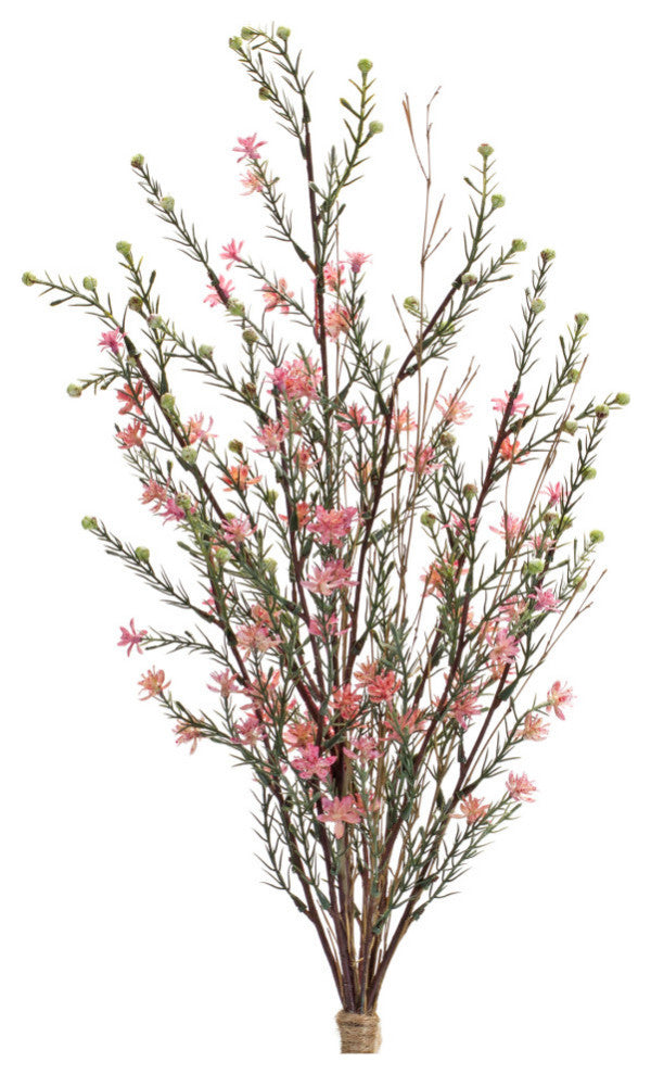Leptospermum Bundle, 6-Piece Set