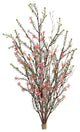 Leptospermum Bundle, 6-Piece Set