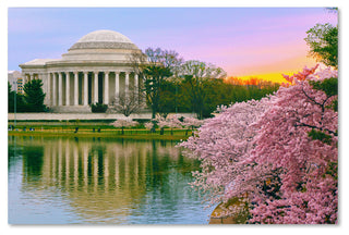 'Cherry Blossoms 2014-6' Canvas Art by CATeyes