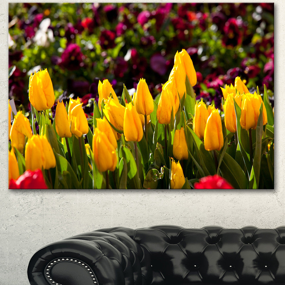 Beautiful Yellow Tulips Garden, Large Flower Canvas Art Print, 40"x30"