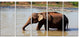 Elephant in Water in Sri Lanka, African Canvas Print, 60"x28", 5 Panels