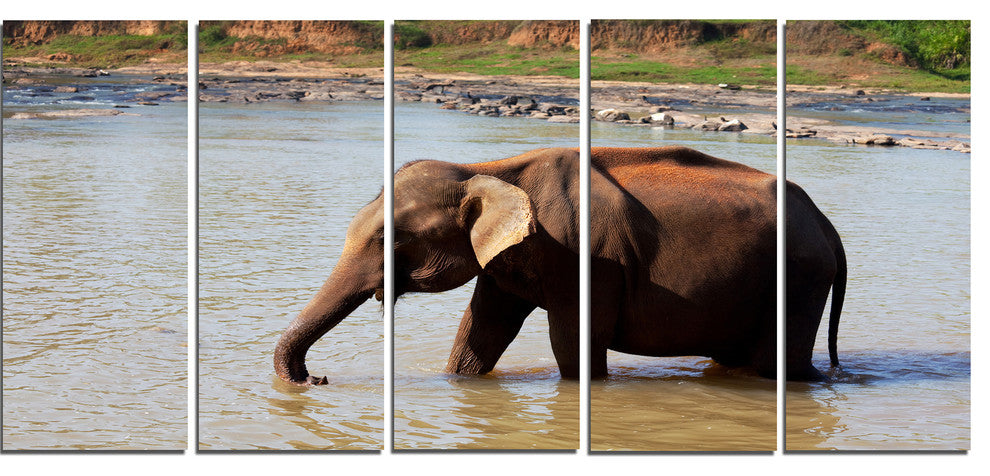 Elephant in Water in Sri Lanka, African Canvas Print, 60"x28", 5 Panels