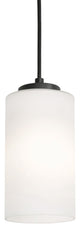 Leo 4" Pendant, Black