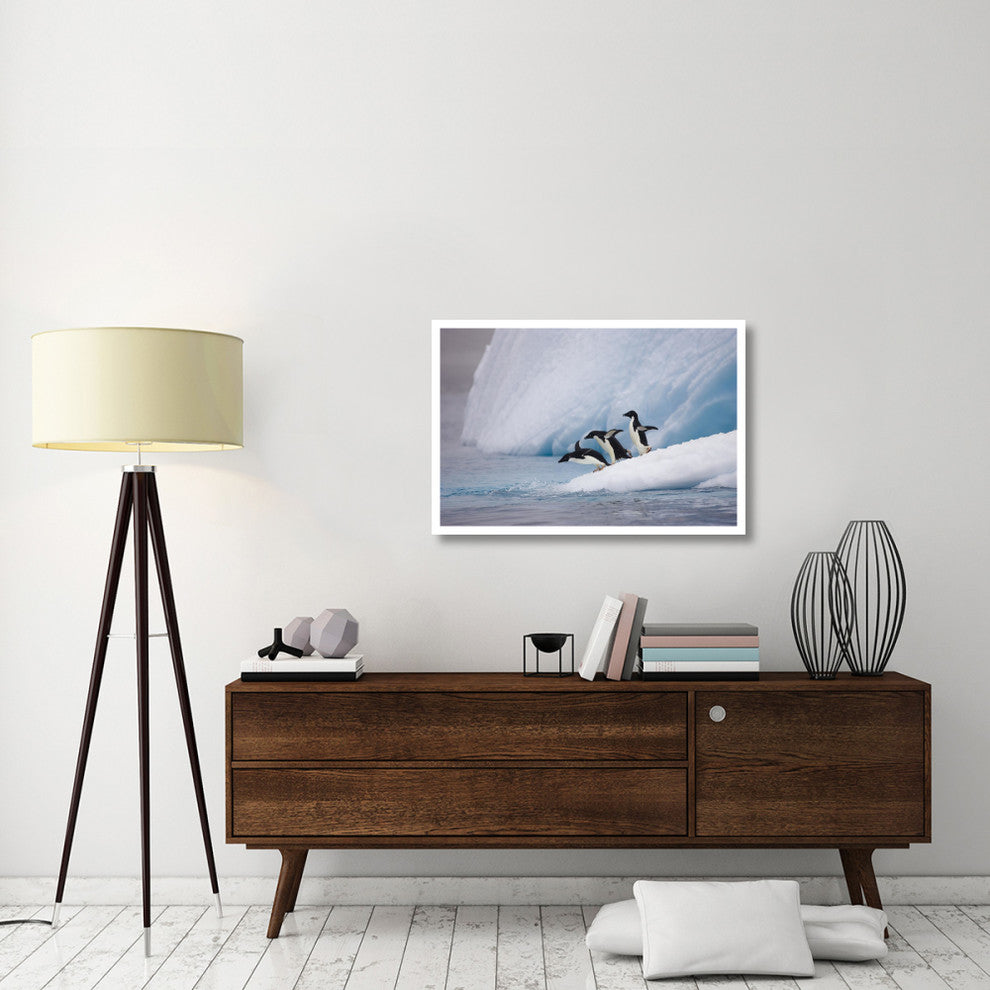 "Adelie Penguin trio diving off iceberg, Paulet Island" Paper Art, 38"x26"