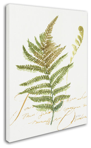 Lisa Audit 'My Greenhouse Fern II' Canvas Art, 24"x18"