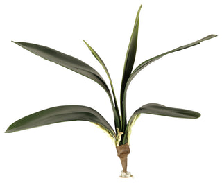 12" Orchid Foliage, Set of 3