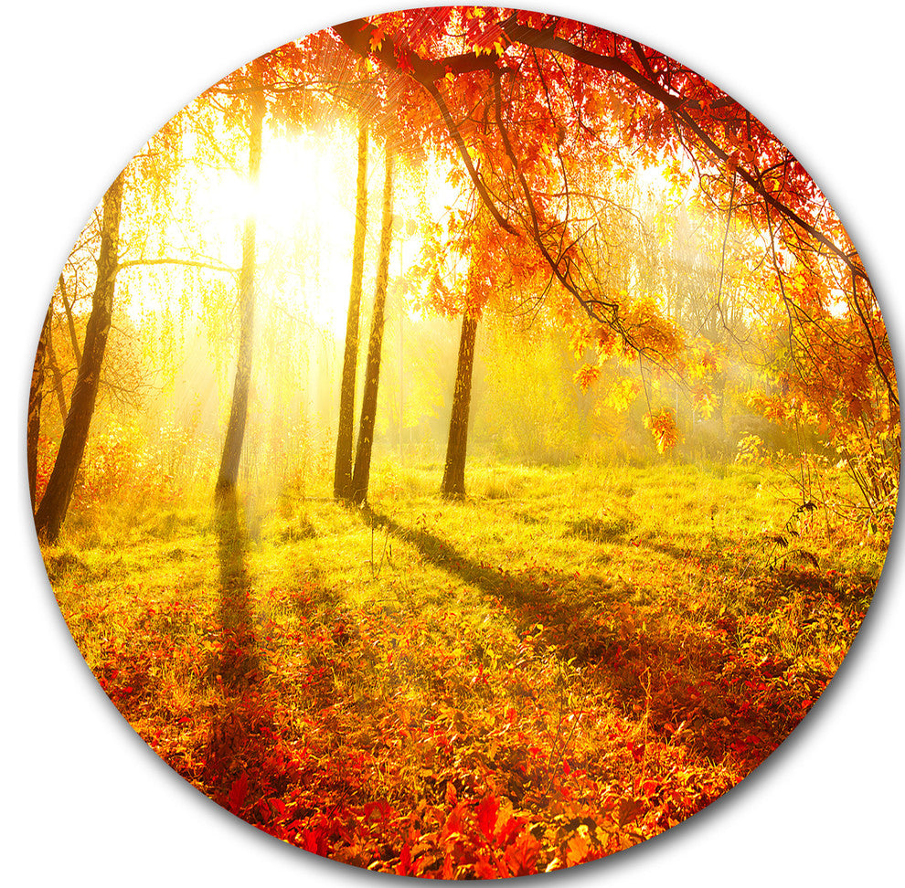 Autumnal Park, Landscape Photography Disc Metal Artwork, 36"