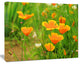 Bright Yellow Poppy Flowers, Floral Canvas Art Print, 40"x30"
