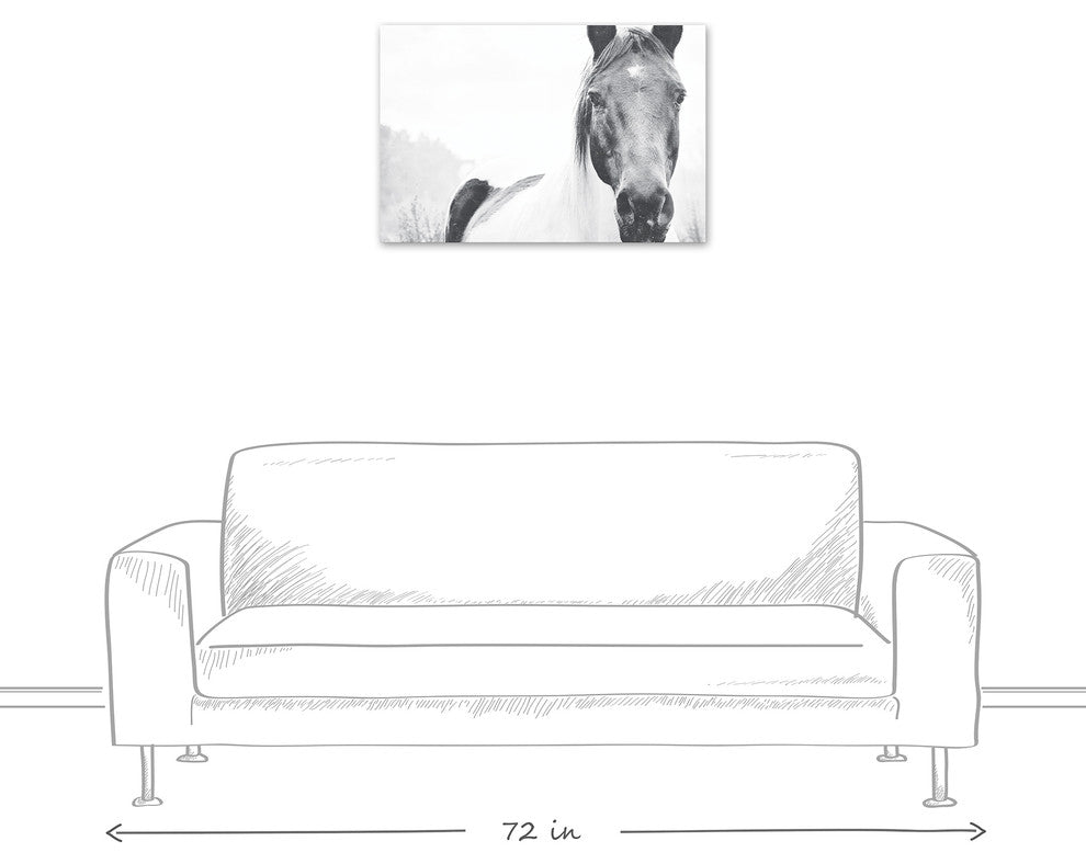 Black and White Lone Horse 20x30 Canvas Wall Art