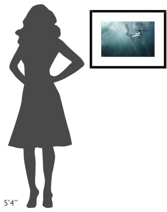 "Plunge Diver" Framed Digital Print by Alexander Safonov, 26"x20"