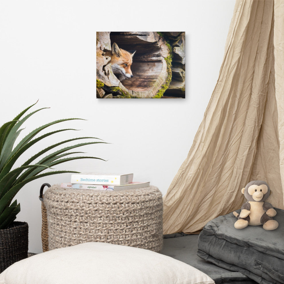 Young Red Fox Face In Mossy Stump Animal Wildlife Photo Canvas Wall Art Prints, 12" X 16"