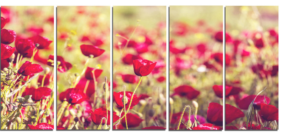 Fantastic View of Wild Poppy Flowers, Flower Canvas Print, 60"x28", 5 Panels