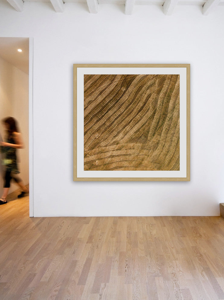 "After The Plow" Framed Print by Karolis Janulis