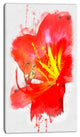Bright Red Lily Illustration Art, Floral Canvas Art Print, 16"x32"
