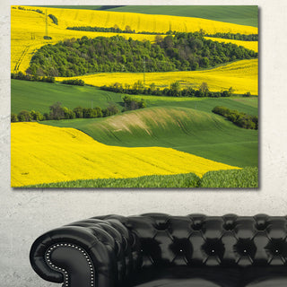 Rapeseed Fields and Green Wheat, Landscape Canvas Art Print, 60x40