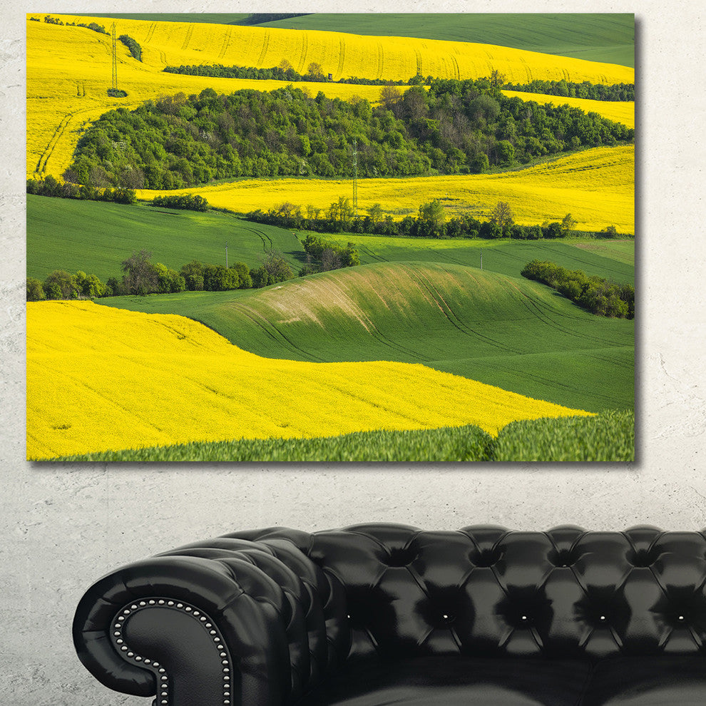 Rapeseed Fields and Green Wheat, Landscape Canvas Art Print, 60x40