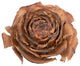 Vickerman Cedar Rose