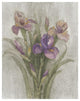 "Purple Iris Garden on Grey" Digital Paper Print by Albena Hristova, 30"x37"