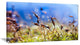 "Abstract Summer Spring Moss Flowers" Landscape Wall Art, 40"x20"