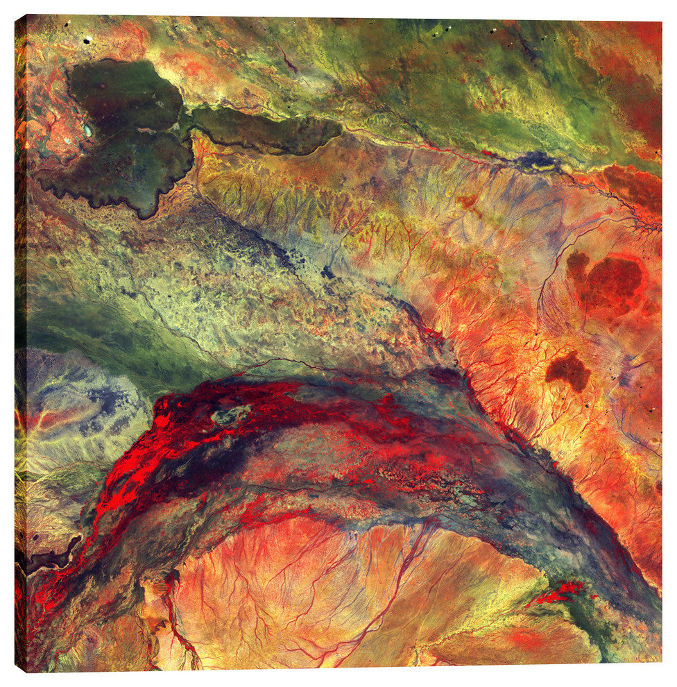 Epic Graffiti "Earth As Art: The Lorian Swamp" Giclee Canvas Wall Art, 12"x12"