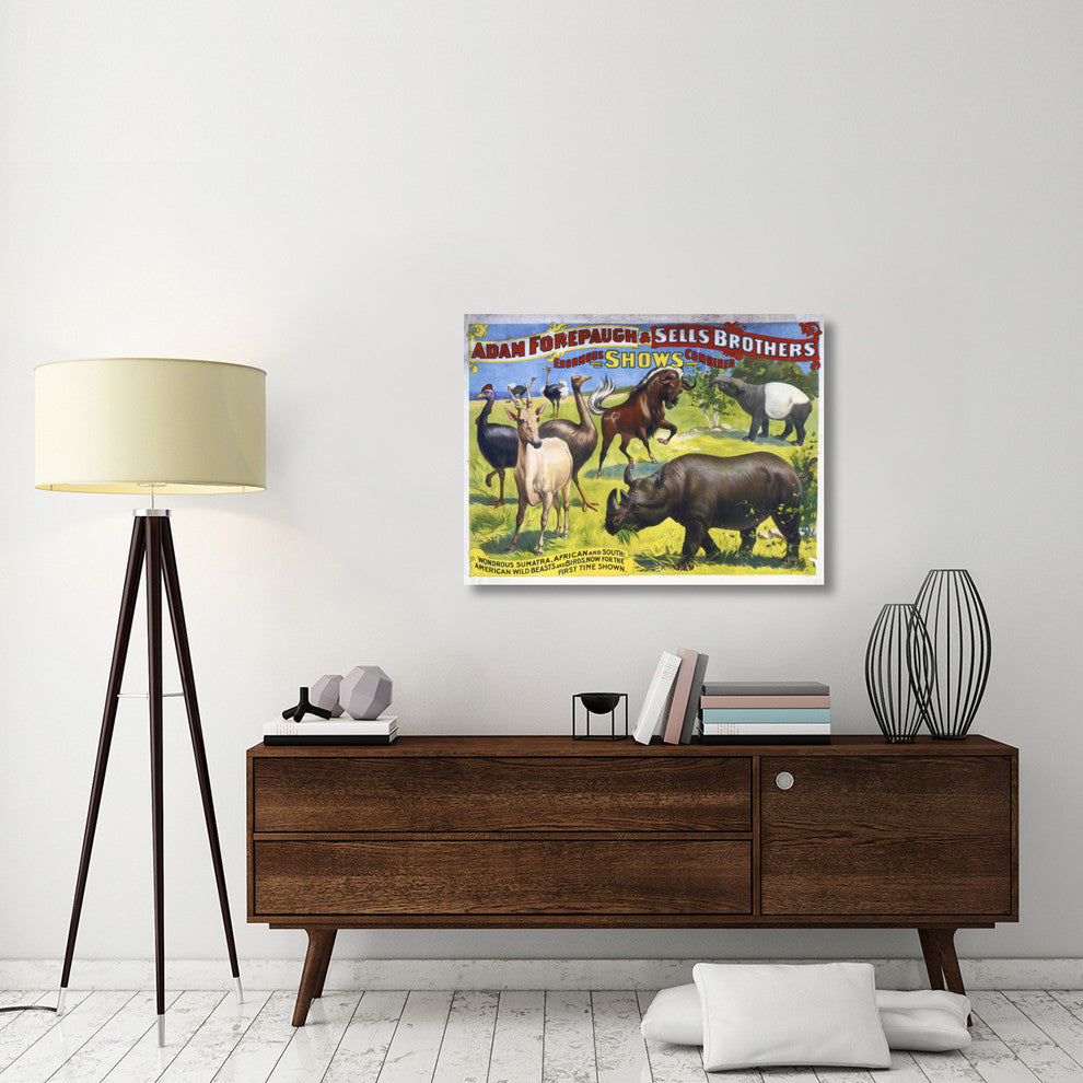 American Wild Beasts And Birds, 40x30