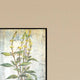 "Herbs" 4-Piece Artwork Set