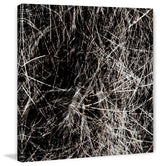 "Drift VI" Print on Canvas by Sia Aryai