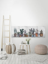 "Succulent Collection" Painting Print on Wrapped Canvas