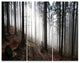 Misty Forest Morning Panorama, Landscape Triptych Canvas Print, 36x28, 3 Panels