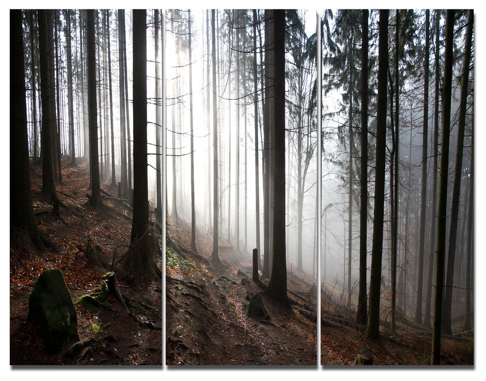 Misty Forest Morning Panorama, Landscape Triptych Canvas Print, 36x28, 3 Panels