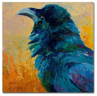 Marion Rose 'Crow Study' Canvas Art, 35 x 35