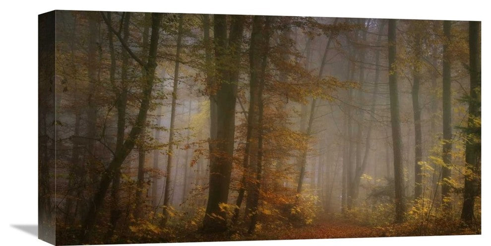 "My November" Stretched Canvas Giclee by Norbert Maier, 22x12"