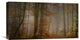 "My November" Stretched Canvas Giclee by Norbert Maier, 22x12"