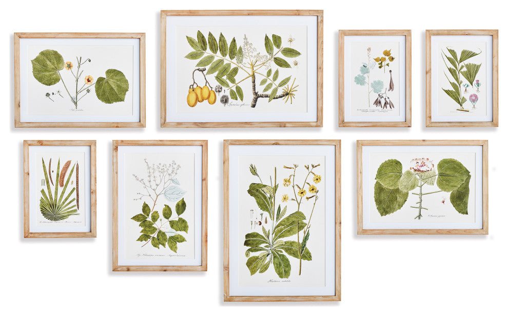 Flora And Fauna Gallery Prints, Set of 8