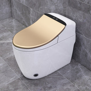 Smart One-Piece 1.27 GPF Floor Mounted Elongated Toilet and Bidet with Seat, Gold