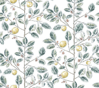 Limoncello Toile Forest Wallpaper