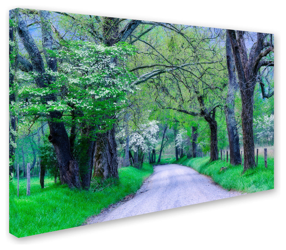Michael Blanchette Photography 'Cades Cove Lane' Canvas Art, 19"x12"