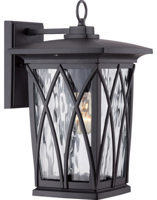Grover 1-Light Outdoor Lantern, Mystic Black
