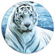Silver Tiger With Water Background, African Round Metal Wall Art, 23"